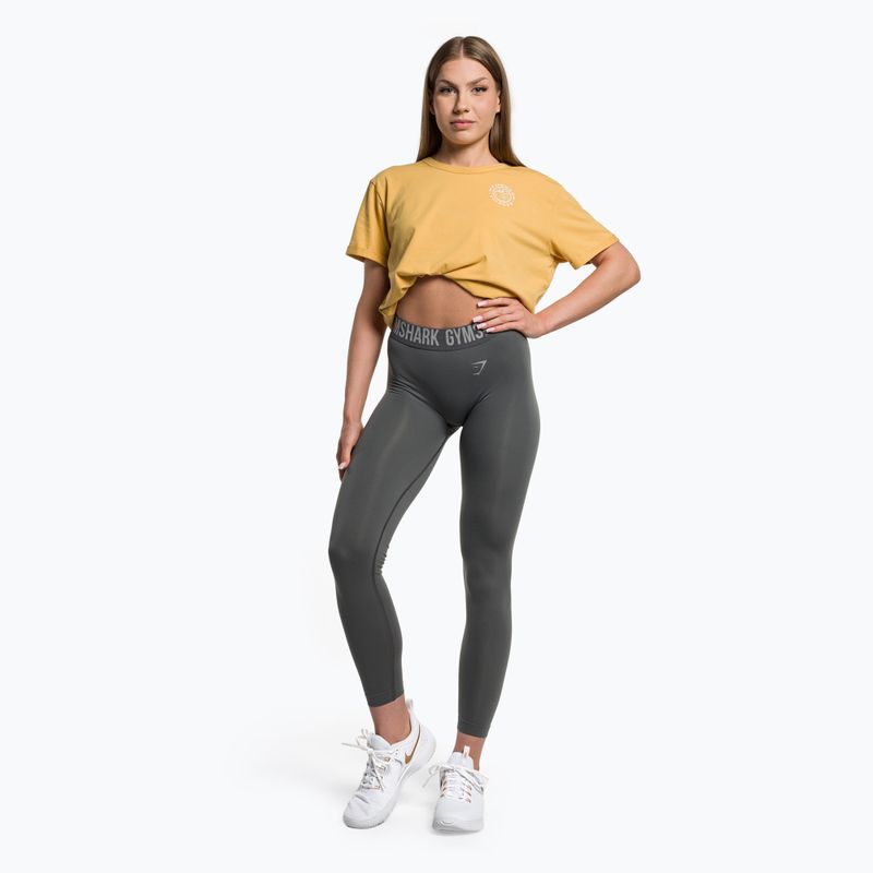 Női edző leggings Gymshark Fit faszénszürke szürke 2