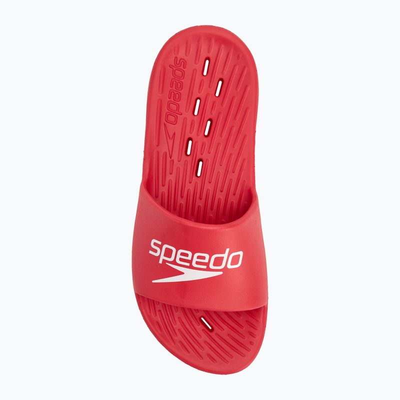 Férfi papucs Speedo Slide fed red 5