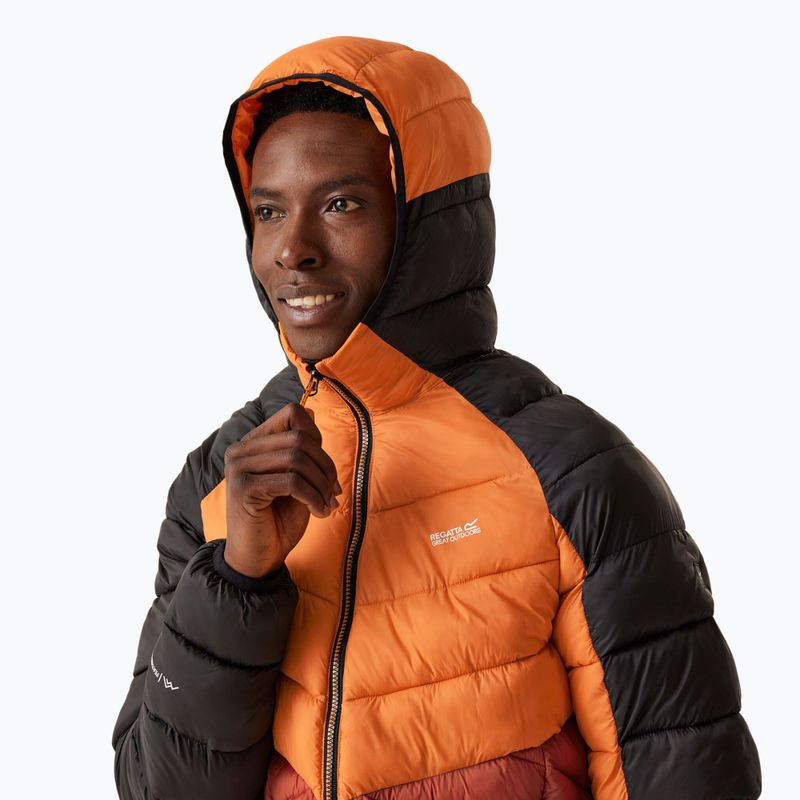 Férfi pehelykabát REGATTA Hooded Dalent fox/red ochre 4