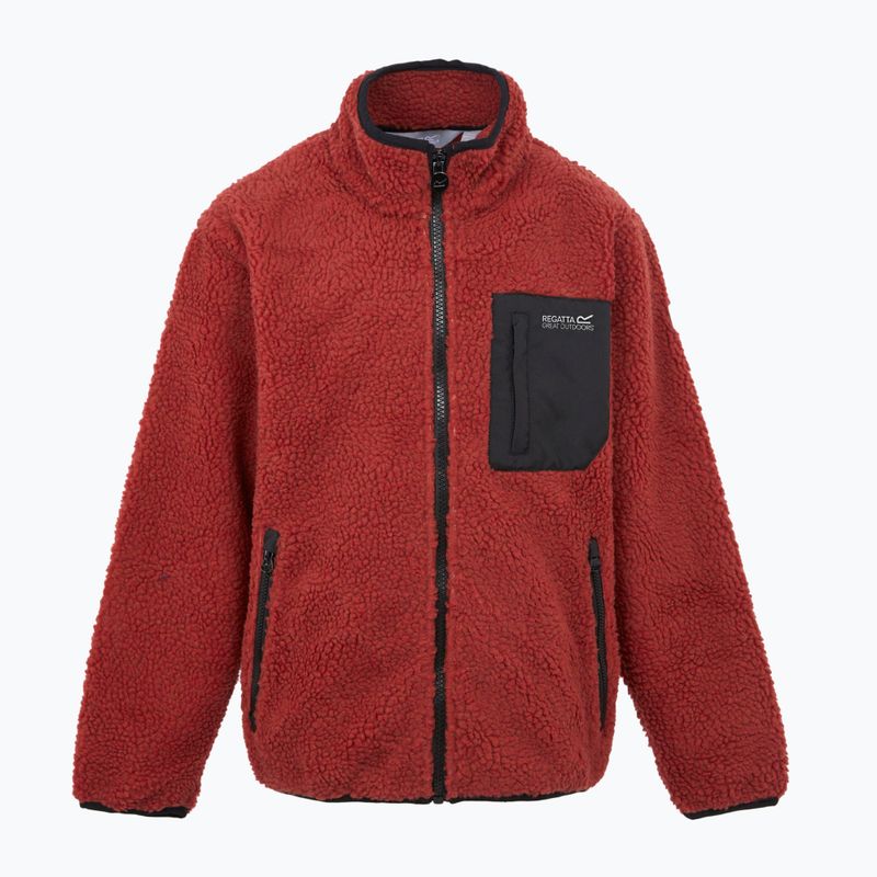 Gyerek pulóver REGATTA Junior Frankie Full Zip red ochre 5