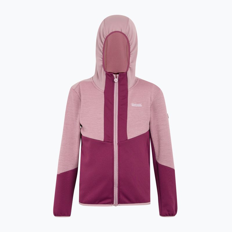 Gyermek fleece kapucnis pulóver REGATTA Dissolver X beaujolais/lilas 6