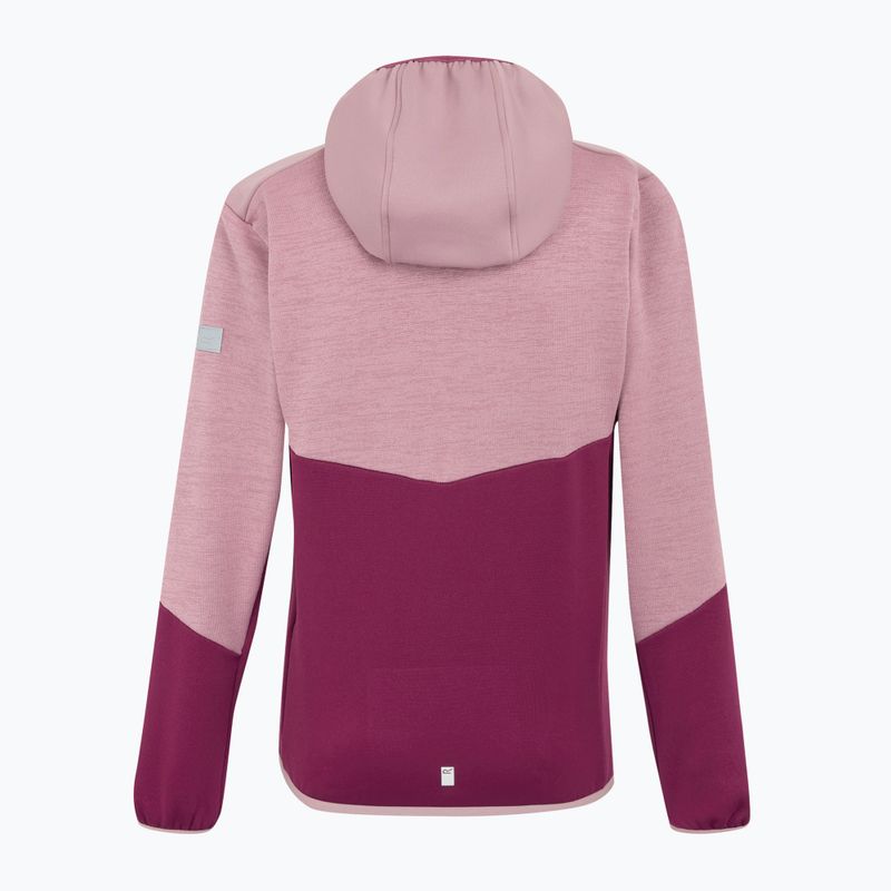 Gyermek fleece kapucnis pulóver REGATTA Dissolver X beaujolais/lilas 7