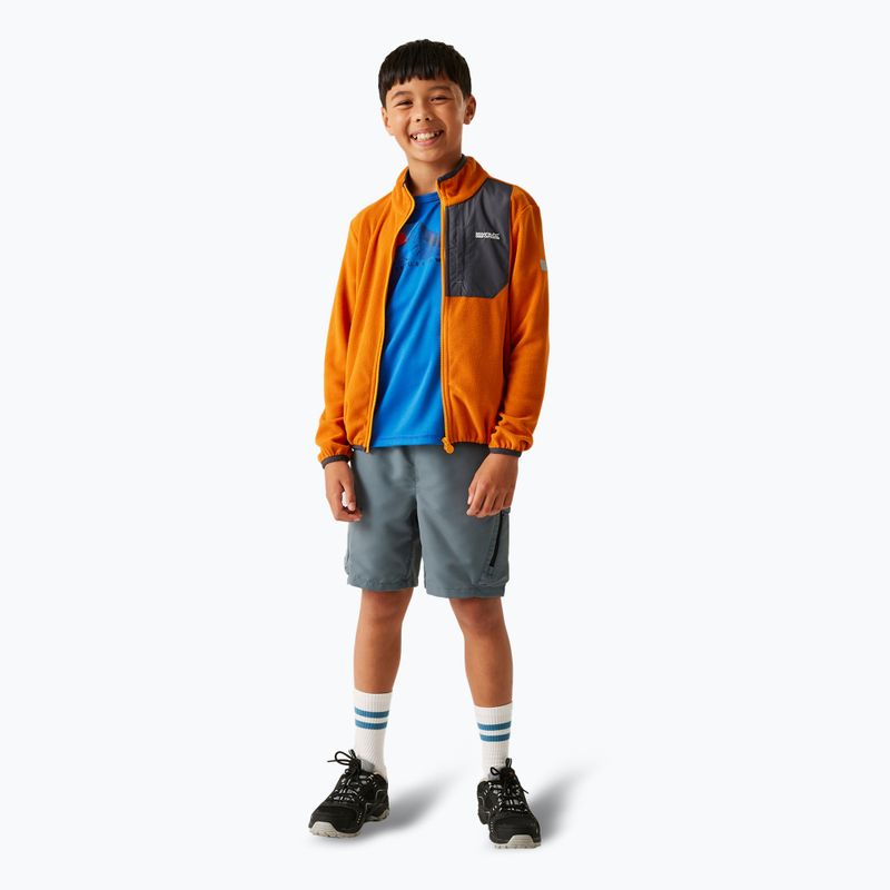 Gyerekek fleece kapucnis pulóver REGATTA Frankie Full Zip róka 2