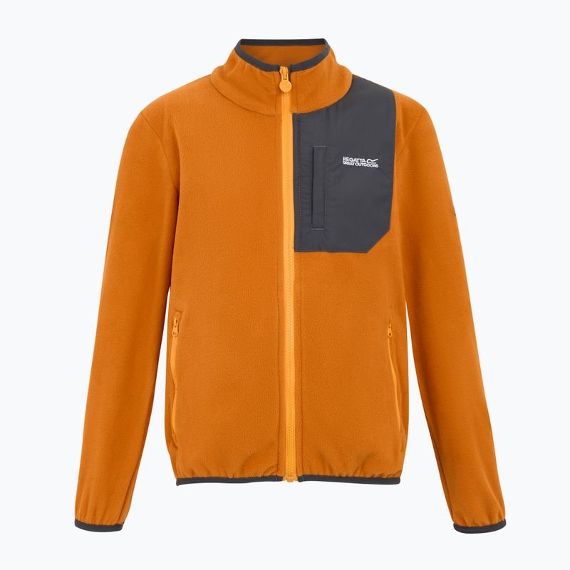 Gyerekek fleece kapucnis pulóver REGATTA Frankie Full Zip róka 5