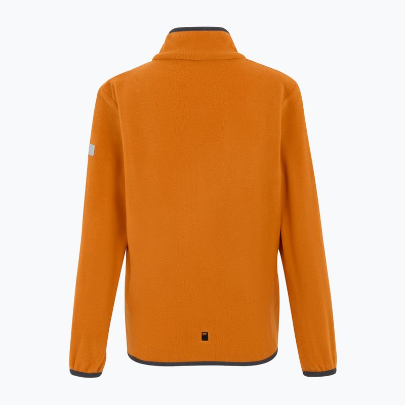 Gyerekek fleece kapucnis pulóver REGATTA Frankie Full Zip róka 6