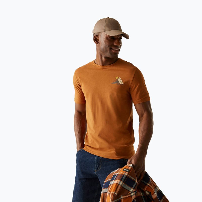 Férfi póló REGATTA ClineIX glazed ginger