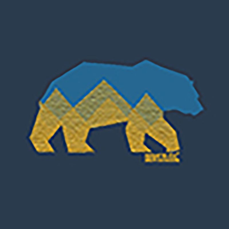 Férfi póló REGATTA ClineIX moonlight denim bear 8