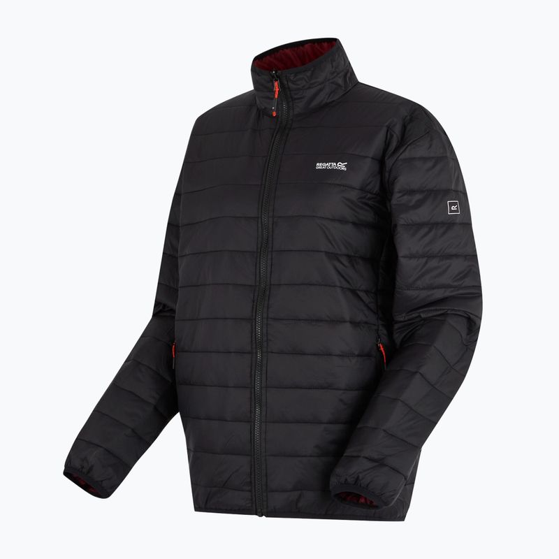 Férfi 3 az 1-ben kabát REGATTA Wentwood dark maroon/black 14