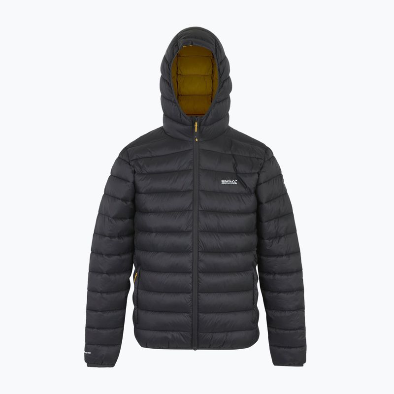 Férfi dzseki REGATTA Hooded Marizion ash/gold 8
