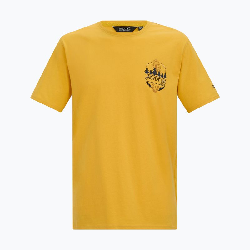 Férfi póló Regatta ClineIX ceylon yellow 5