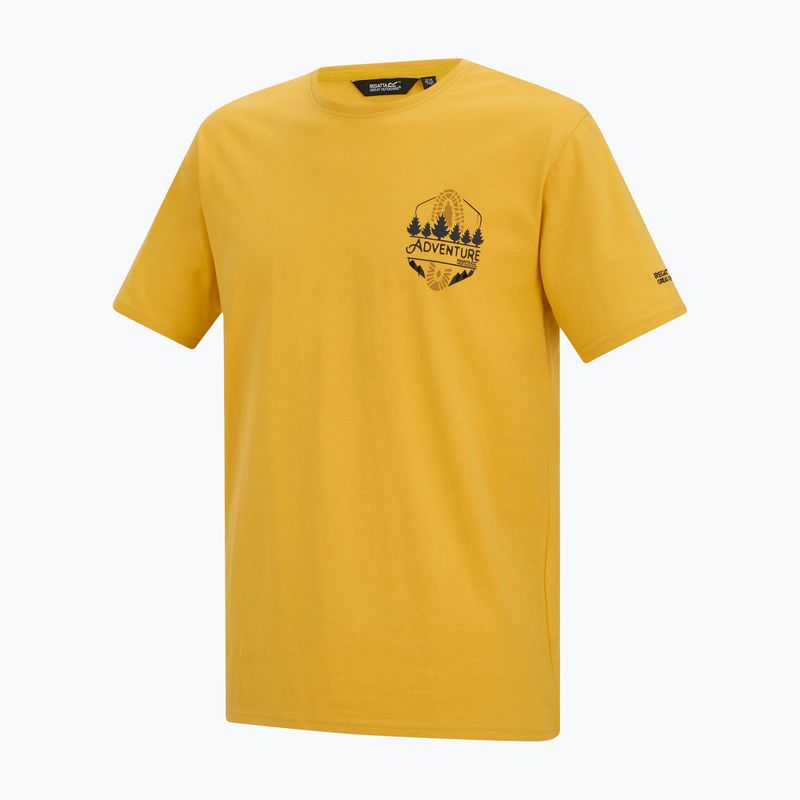 Férfi póló Regatta ClineIX ceylon yellow 7