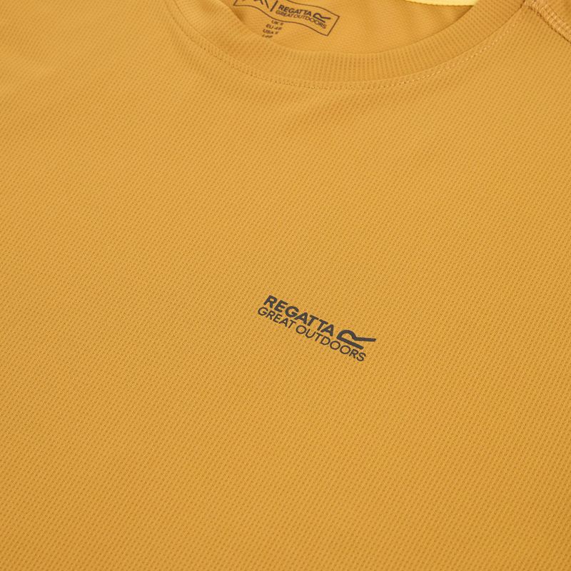 Férfi póló REGATTA Mindoi Anti Insect wood brown 3