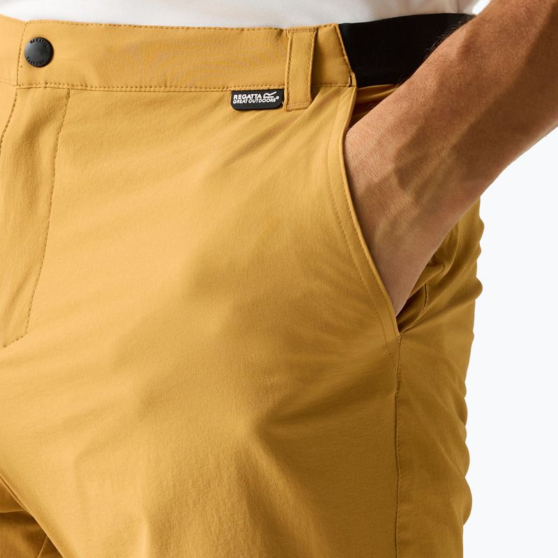 Férfi trekking rövidnadrág REGATTA Anti Insect Travel Light wood brown 4