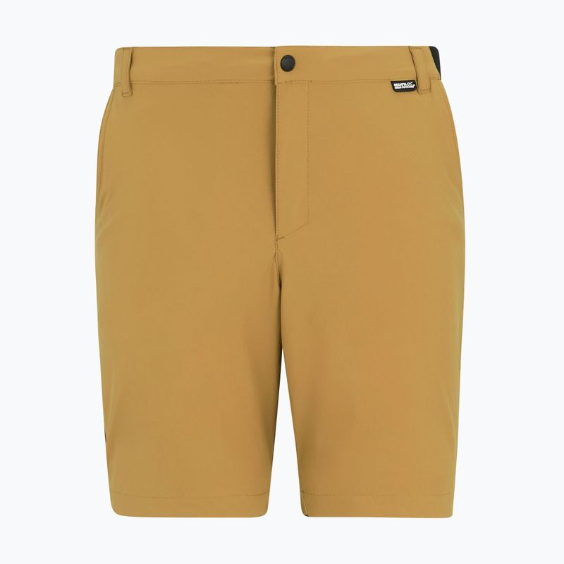 Férfi trekking rövidnadrág REGATTA Anti Insect Travel Light wood brown 5