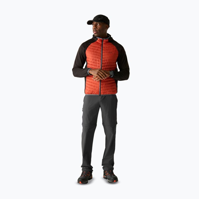 Férfi túranadrág REGATTA Anti Insect Travel Light ash 2