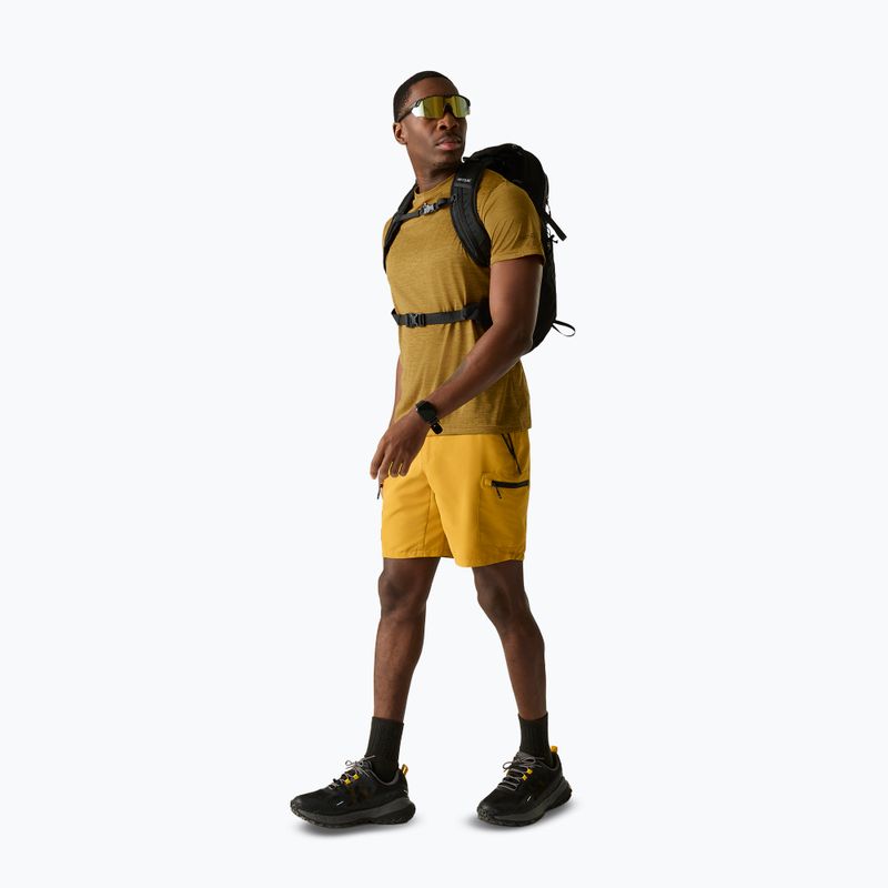 Férfi túrapóló REGATTA Fingal Edition wood brown 2