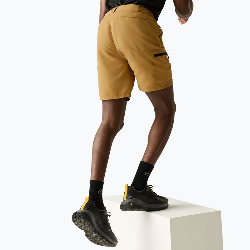 Férfi trekking rövidnadrág REGATTA Leesville III wood brown 4