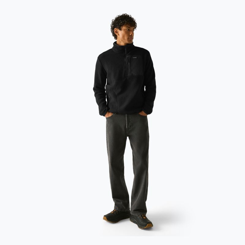 Férfi polár pulóver REGATTA Frankie Borg Half Zip black/black 2