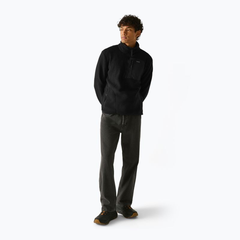Férfi polár pulóver REGATTA Frankie Borg Half Zip black/black 3