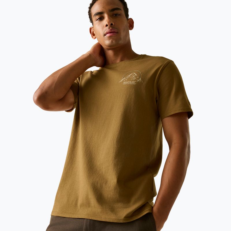 Férfi póló Regatta ClineIX rich tan original outdoor 4