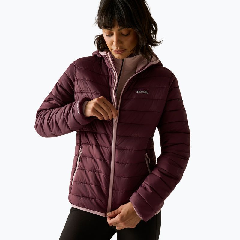 Női pehelykabát Regatta Hooded Marizion fig