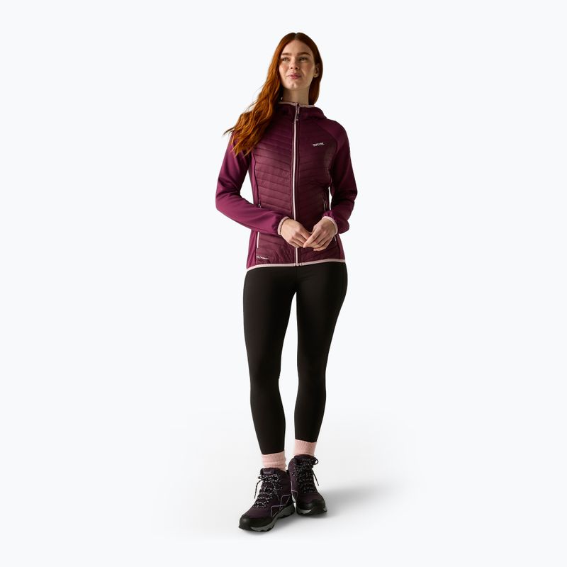 Női hibrid kabát REGATTA Andreson Hybrid fig 2