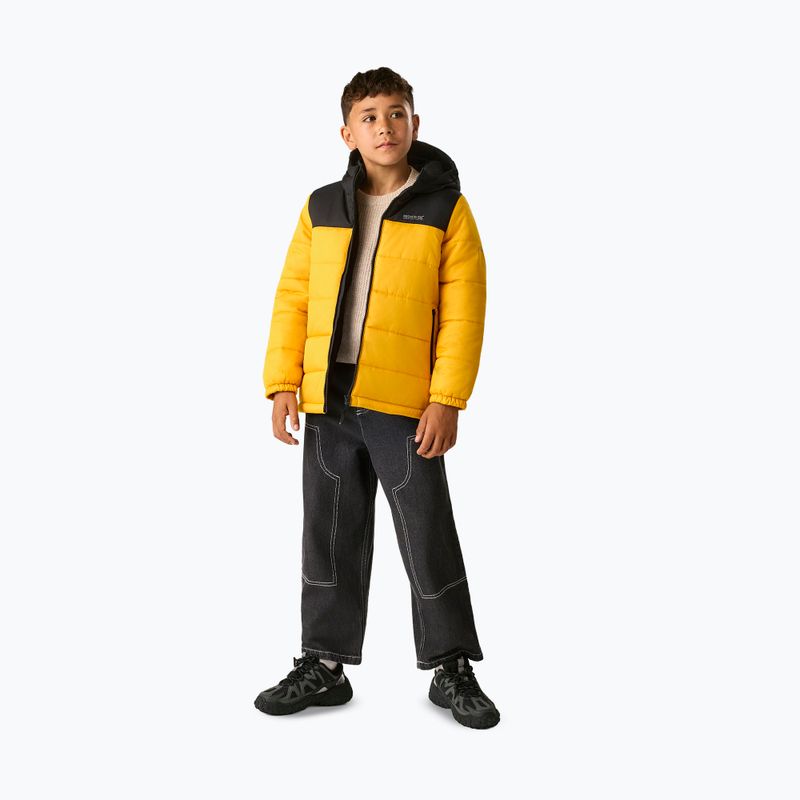 Gyerek bélelt kabát REGATTA Lofthouse black/mustard 2