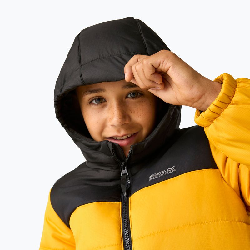 Gyerek bélelt kabát REGATTA Lofthouse black/mustard 8