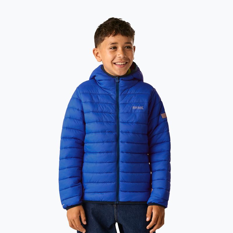 Gyermek pehelykabát REGATTA Hooded Marizion olympian blue/aviator blue