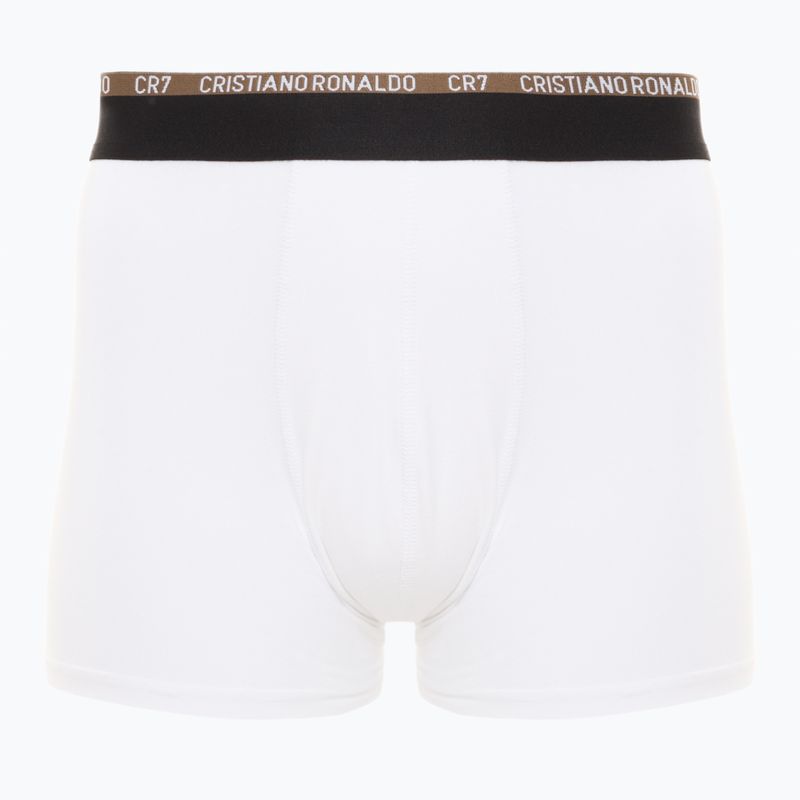 Férfi boxeralsó CR7 Basic Trunk 10 pár multicolor 2