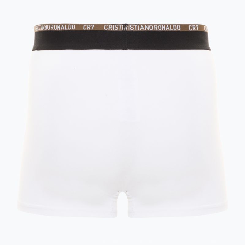 Férfi boxeralsó CR7 Basic Trunk 10 pár multicolor 5