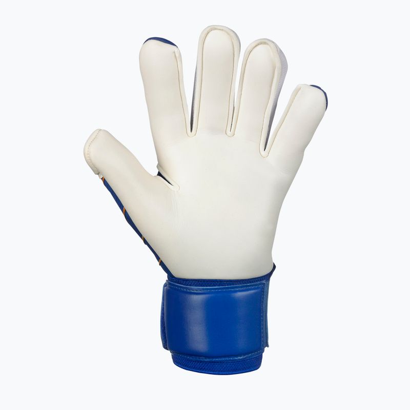 SELECT 55 Extra Force v24 kék/fehér kapuskesztyű 3