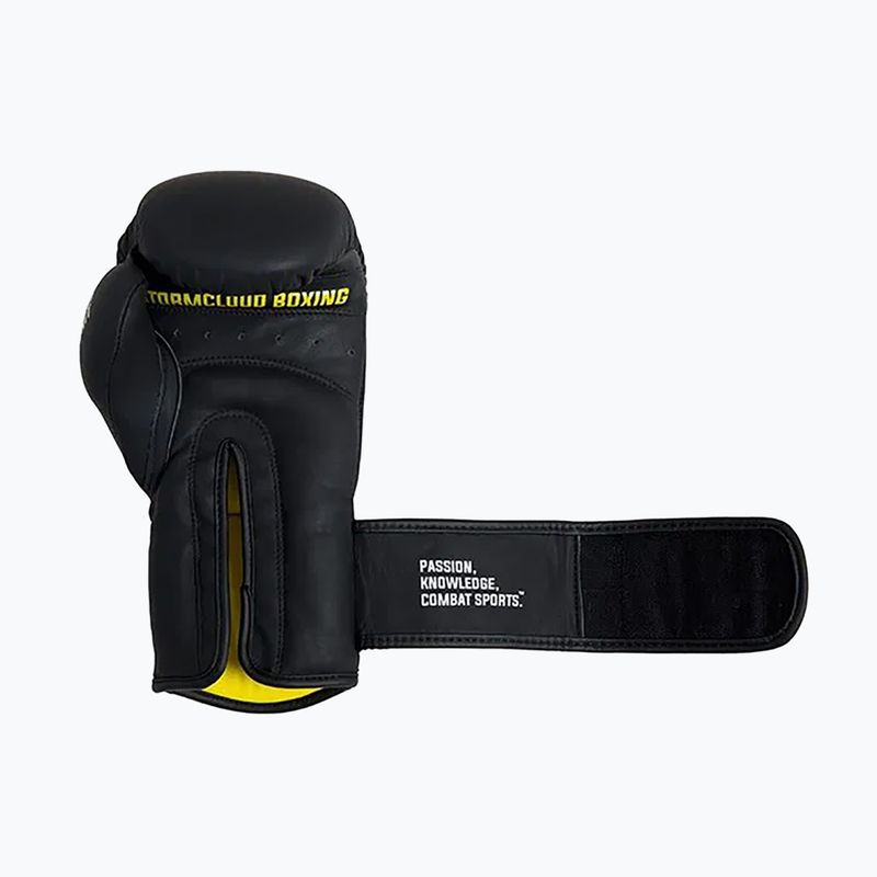 Boxkesztyű StormCloud Boxing Pro black 6