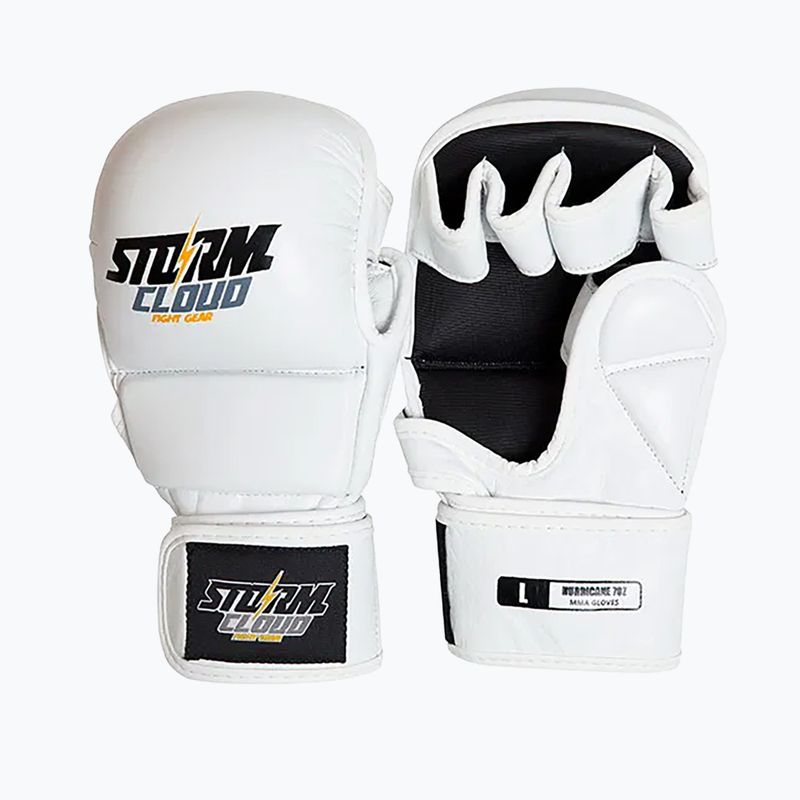 Grappling kesztyűk StormCloud Hurricane white/black