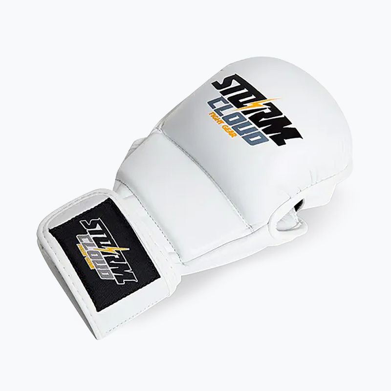 Grappling kesztyűk StormCloud Hurricane white/black 3