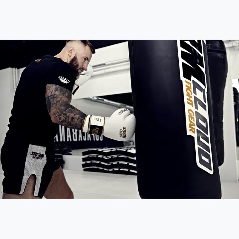Bokszkesztyűk StormCloud Boxing Pro white/gold 11
