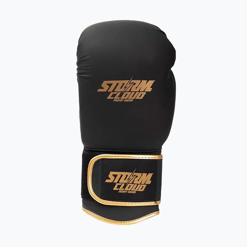 Boxkesztyű StormCloud Boxing Pro black/gold 3