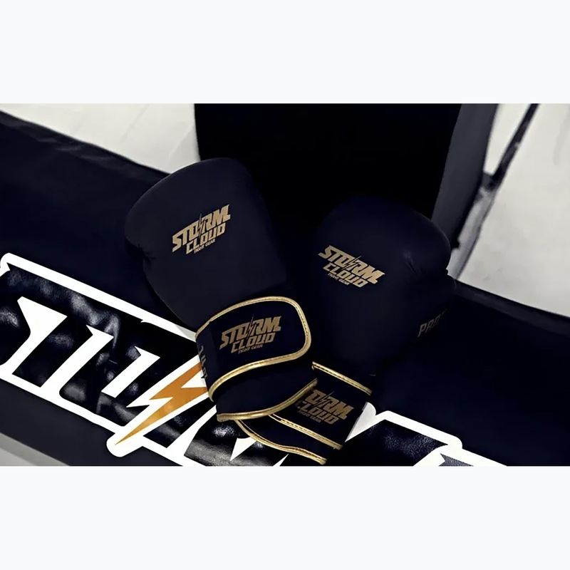 Boxkesztyű StormCloud Boxing Pro black/gold 11