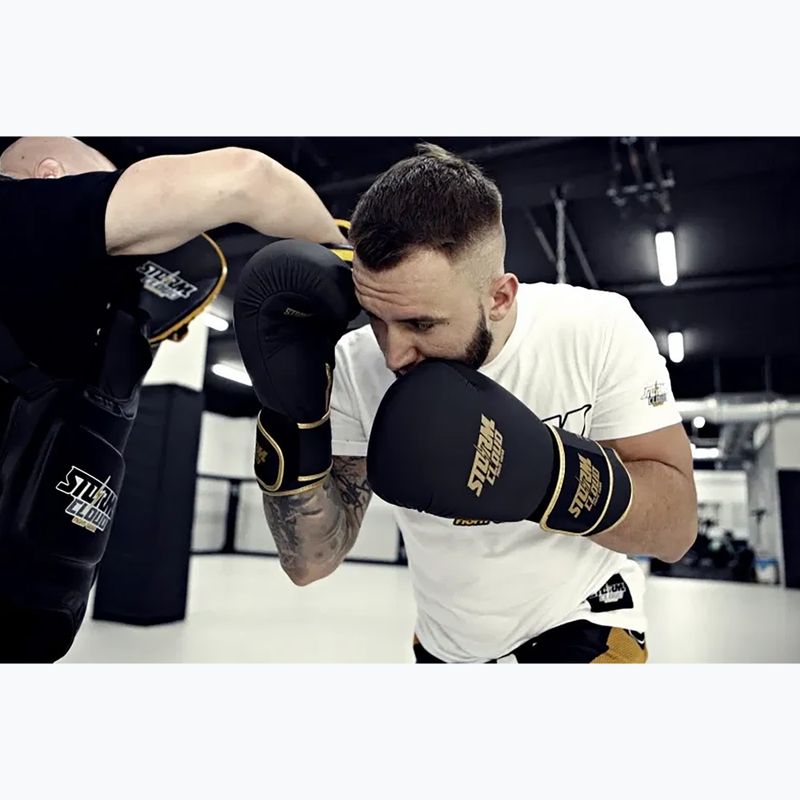 Boxkesztyű StormCloud Boxing Pro black/gold 13