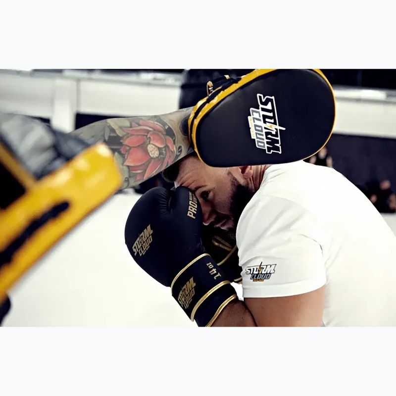 Boxkesztyű StormCloud Boxing Pro black/gold 14