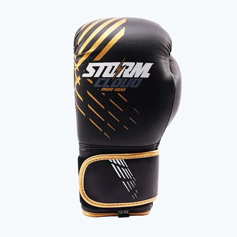 Boxkesztyűk StormCloud Lynx black/gold 2