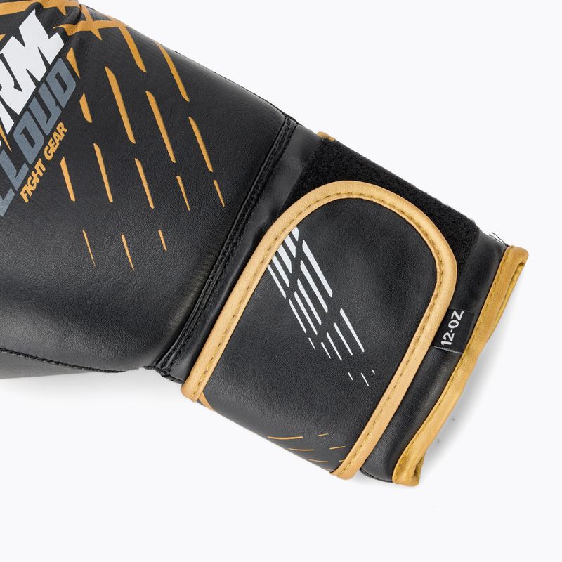 Boxkesztyűk StormCloud Lynx black/gold 6
