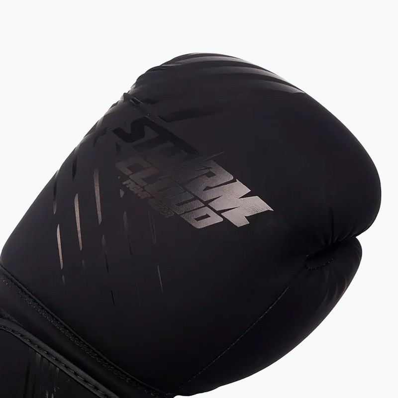 Bokszkesztyűk StormCloud Lynx black/black 4