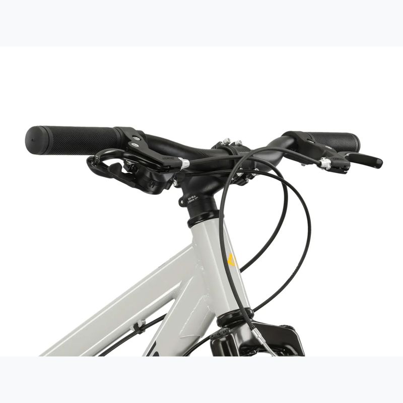Gyermekkerékpár KROSS Dust Jr 1.0 grey/black/gloss 4