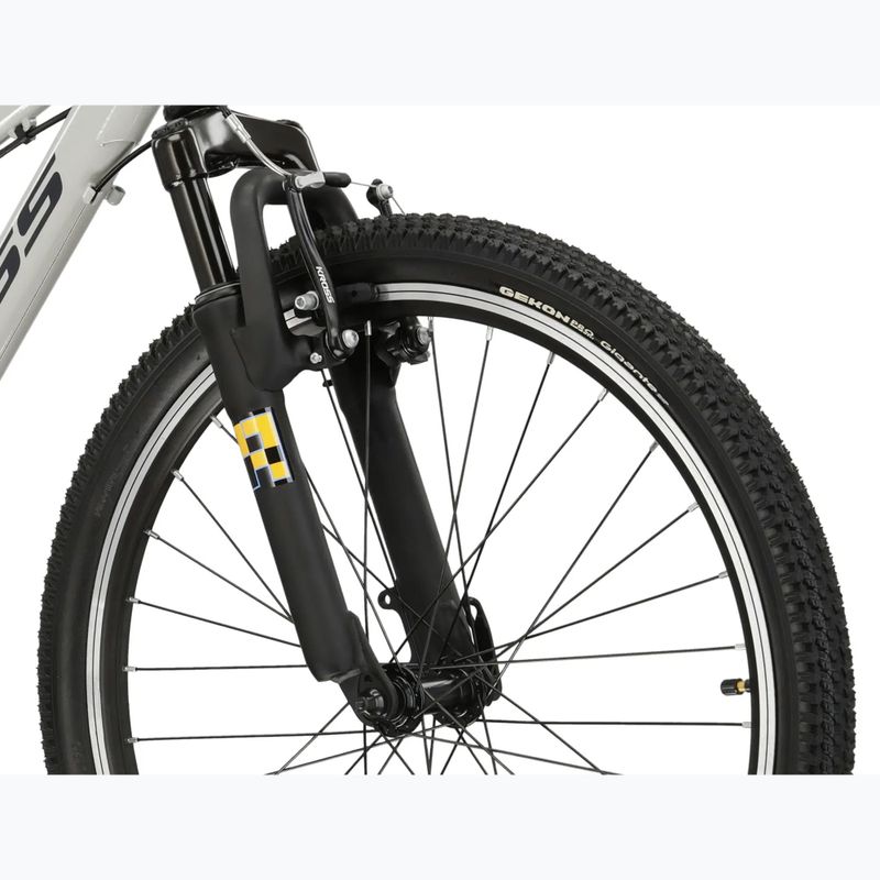 Gyermekkerékpár KROSS Dust Jr 1.0 grey/black/gloss 5