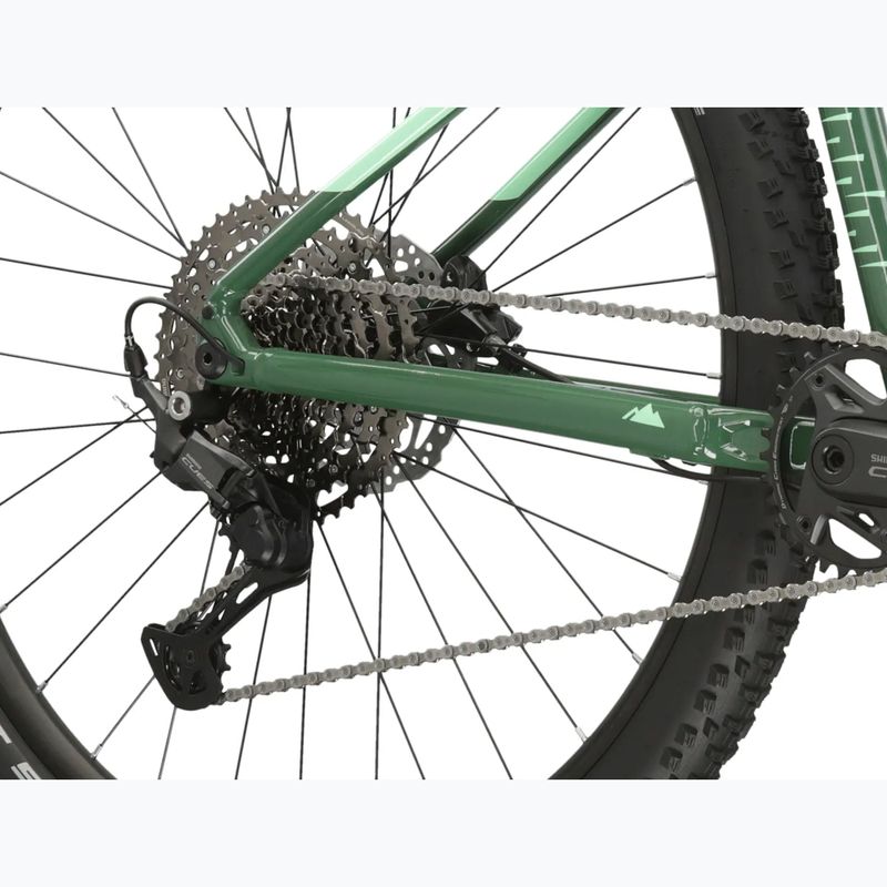 Hegyi kerékpár KROSS Level 5.0 green/gloss 10
