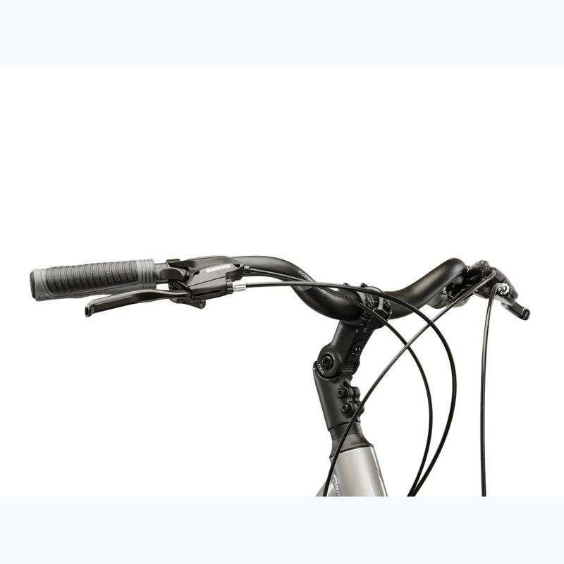 Női trekking kerékpár KROSS Trans 3.0 In silver/gray/gloss 4