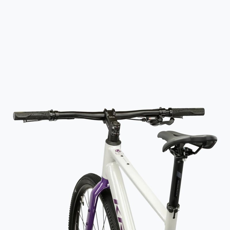 Gravel kerékpár KROSS Esker 1.0 FL grey/purple/gloss 4