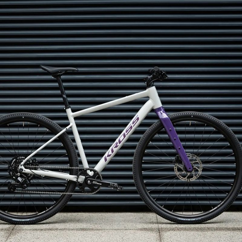 Gravel kerékpár KROSS Esker 1.0 FL grey/purple/gloss 13