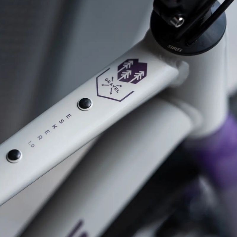 Gravel kerékpár KROSS Esker 1.0 FL grey/purple/gloss 15